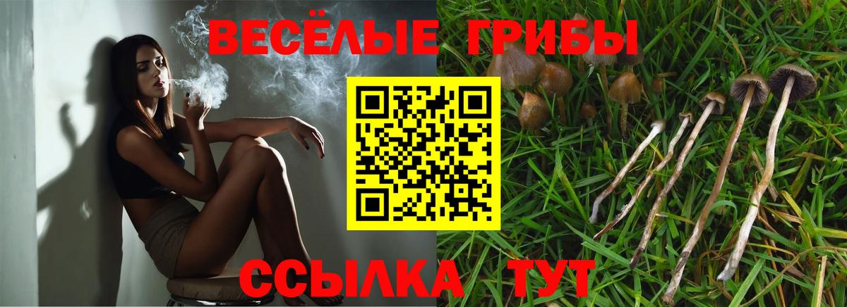 Псилоцибиновые грибы Cubensis Белебей